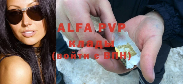 хмурый Абаза