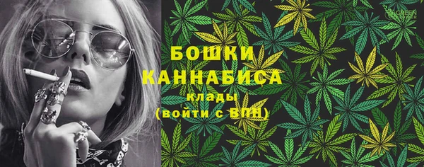 хмурый Абаза