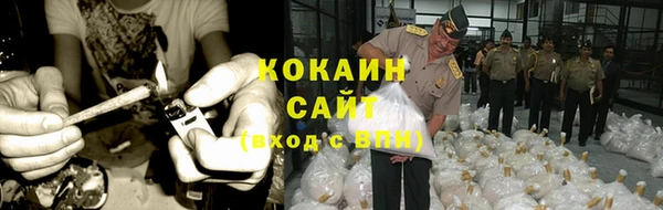 хмурый Абаза