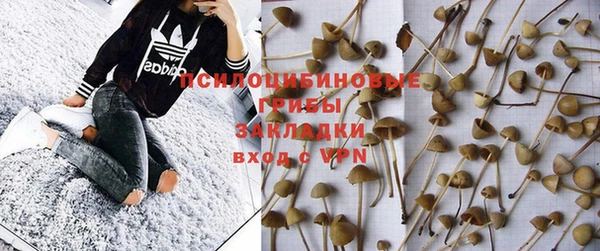 хмурый Абаза